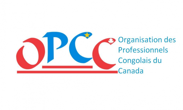 Les nouveaux membres du CA